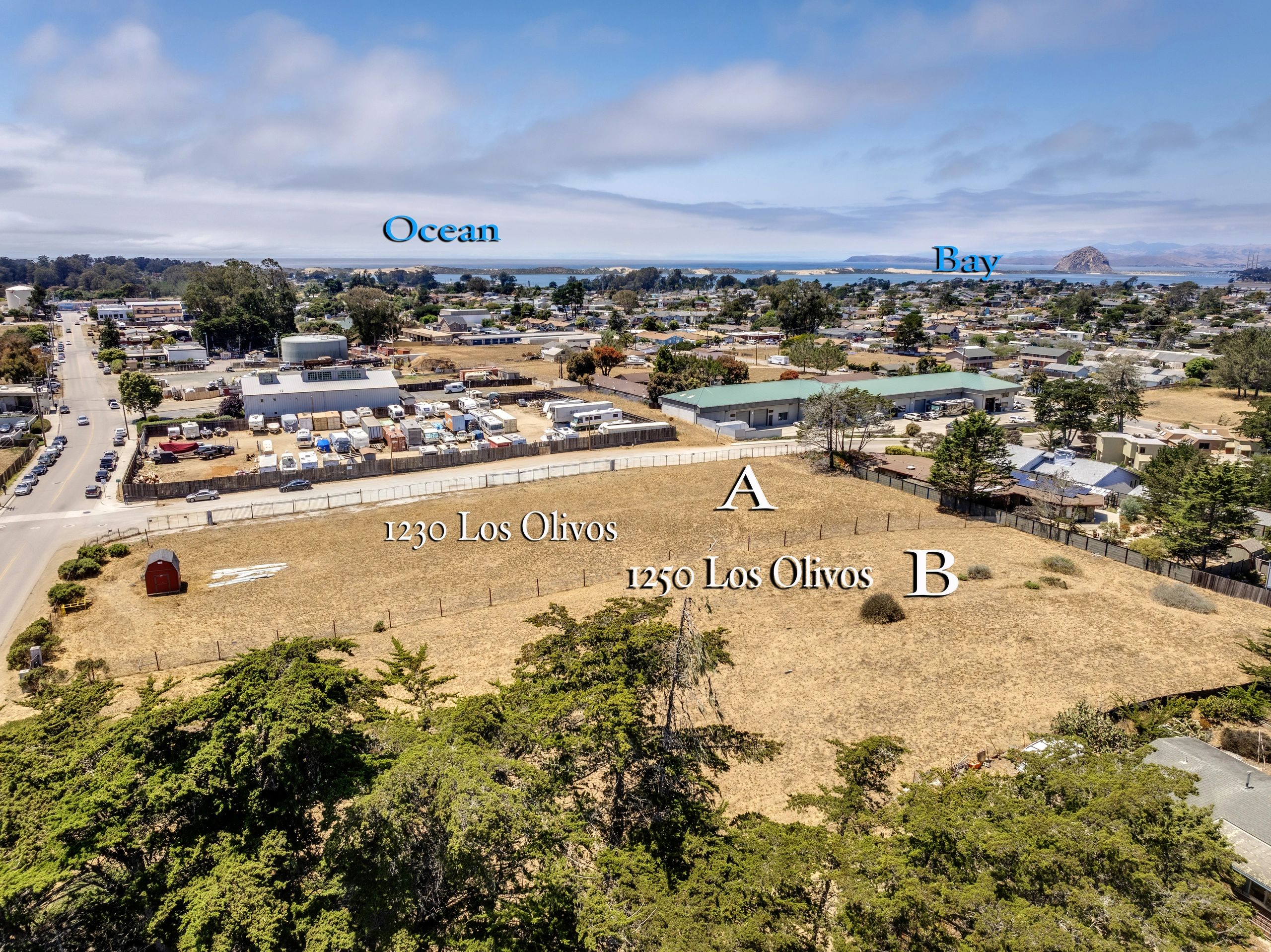 Coastal California landscape — rolling hills meeting the Pacific